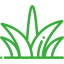 SOD Installation Services Near Cape Coral